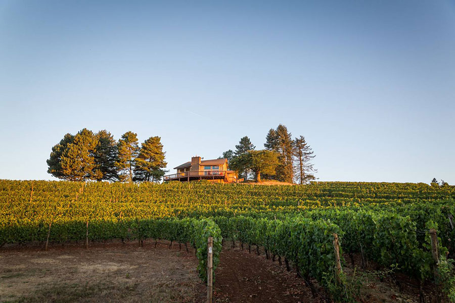 Vineyard Living in 10 Luxurious Airbnb's | Sommi's Wine Travel Guide: Willamette Valley