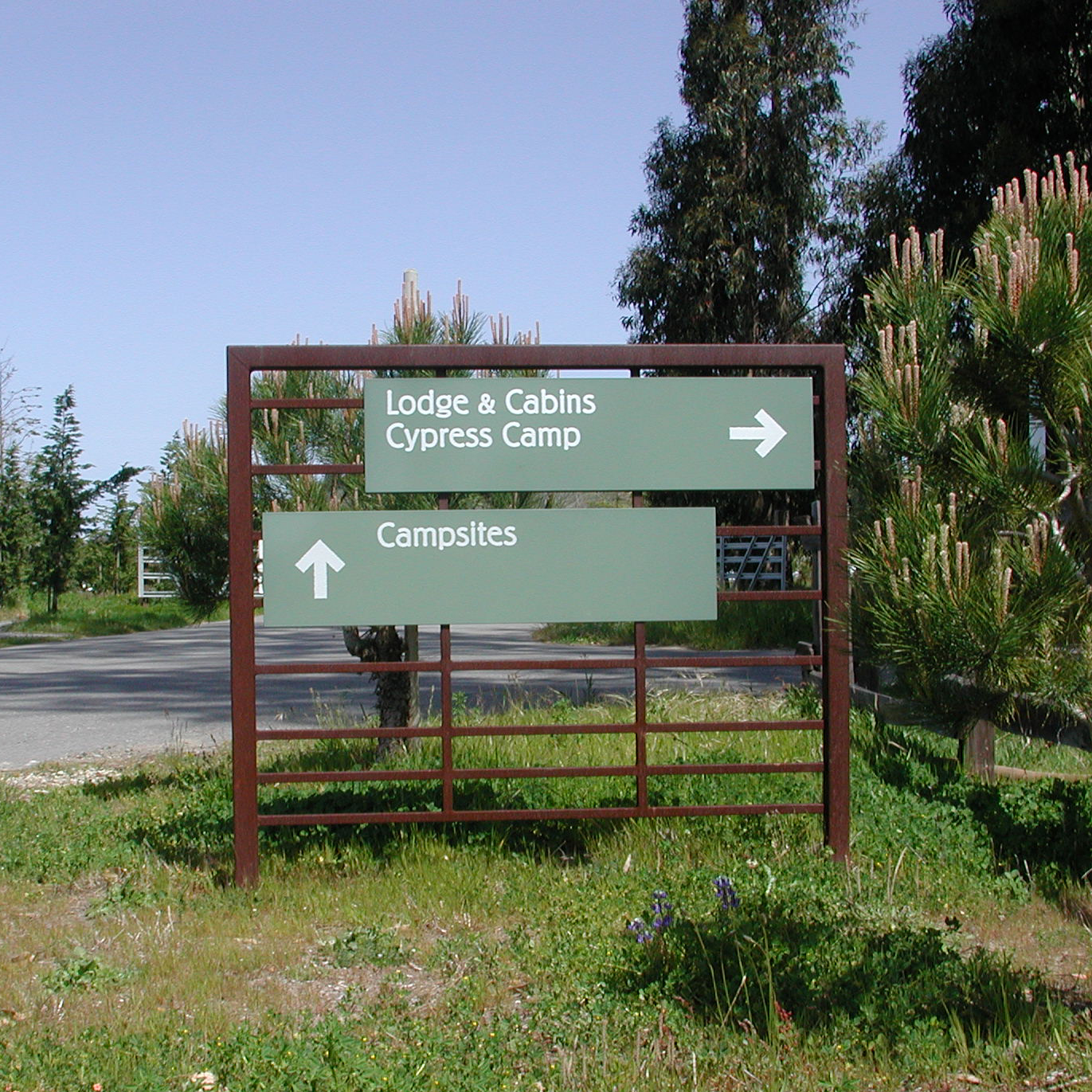 Costanoa_236.jpg