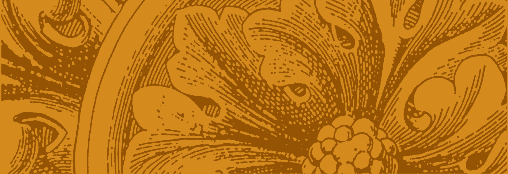 20150405_About_web_banner.png
