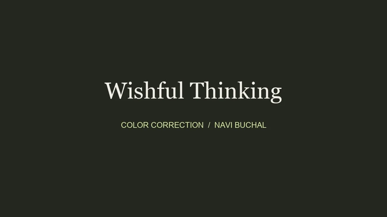 Wishful Thinking — Color Correction