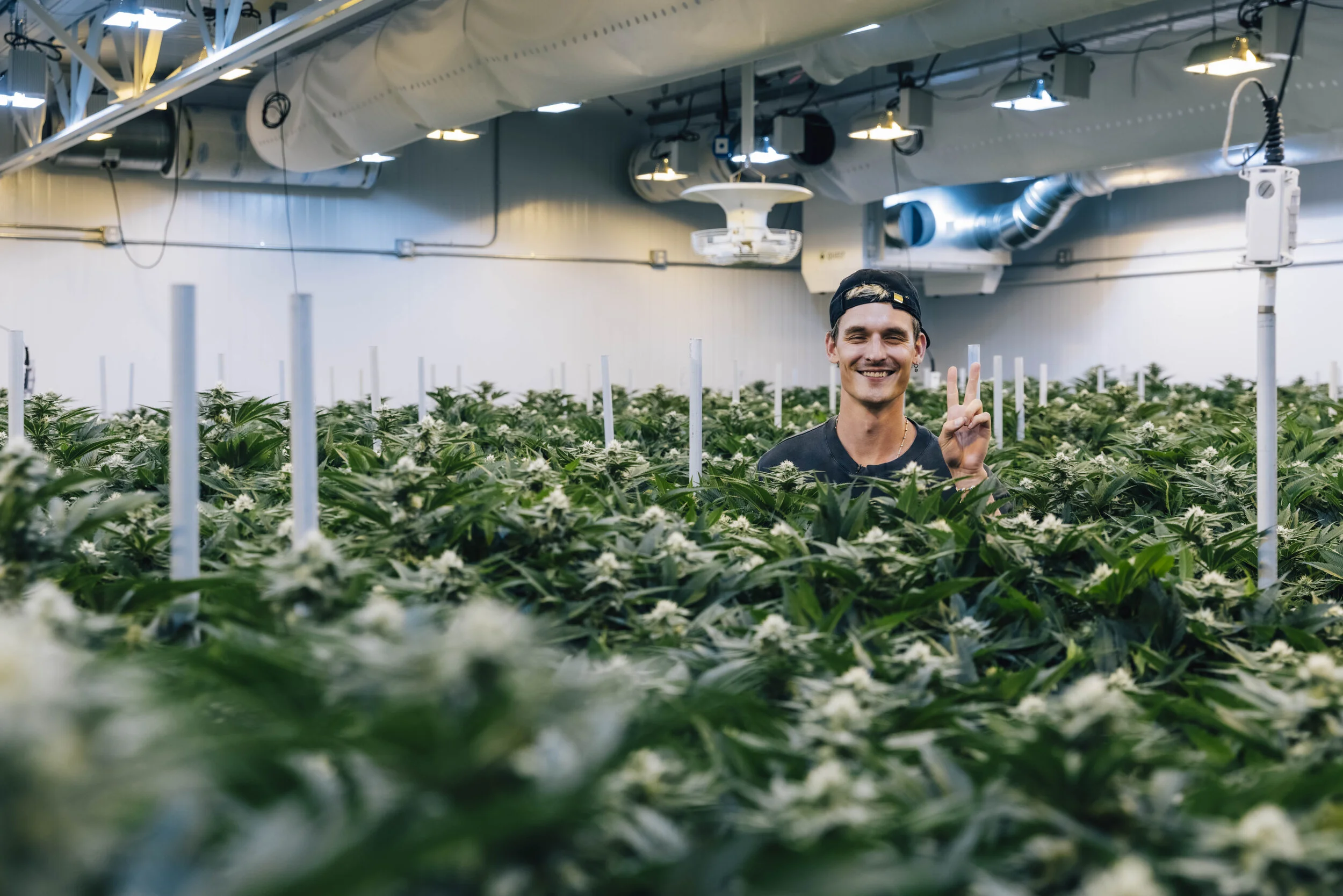 Introducing: Astro Hippie &amp; Telescope 