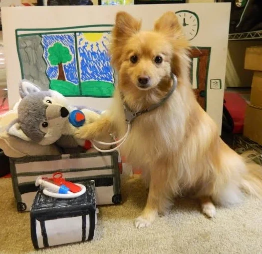 bear vet.jpg