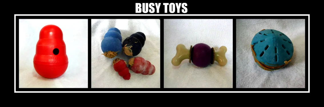 Busy toys keep your dog occupied by making them work for a delicious treat! Our go-to Kong filler is kibble, mixed with canned, and top with peanut butter. To make it last even longer, we FREEZE them! Yum, yum!