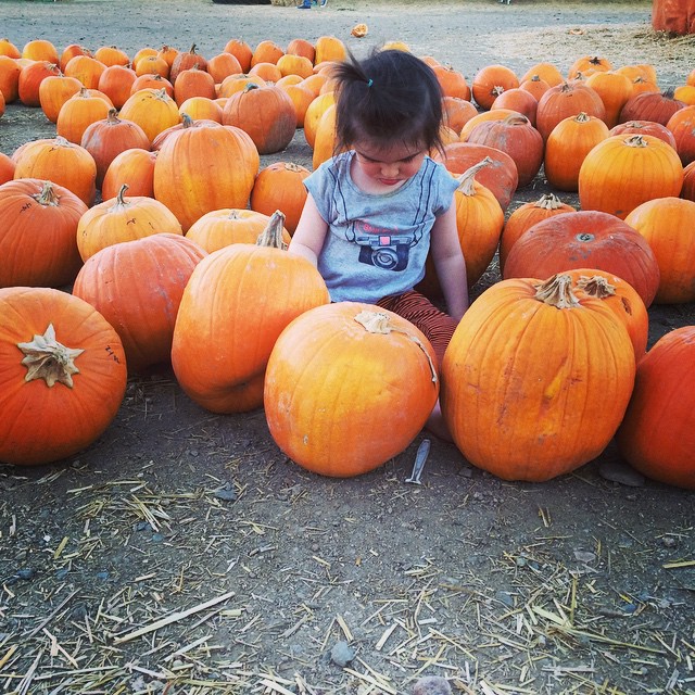 #marloweautumn #letseatpumpkin #mamaslilpumpkin #isamama #nutritionalmindedmama