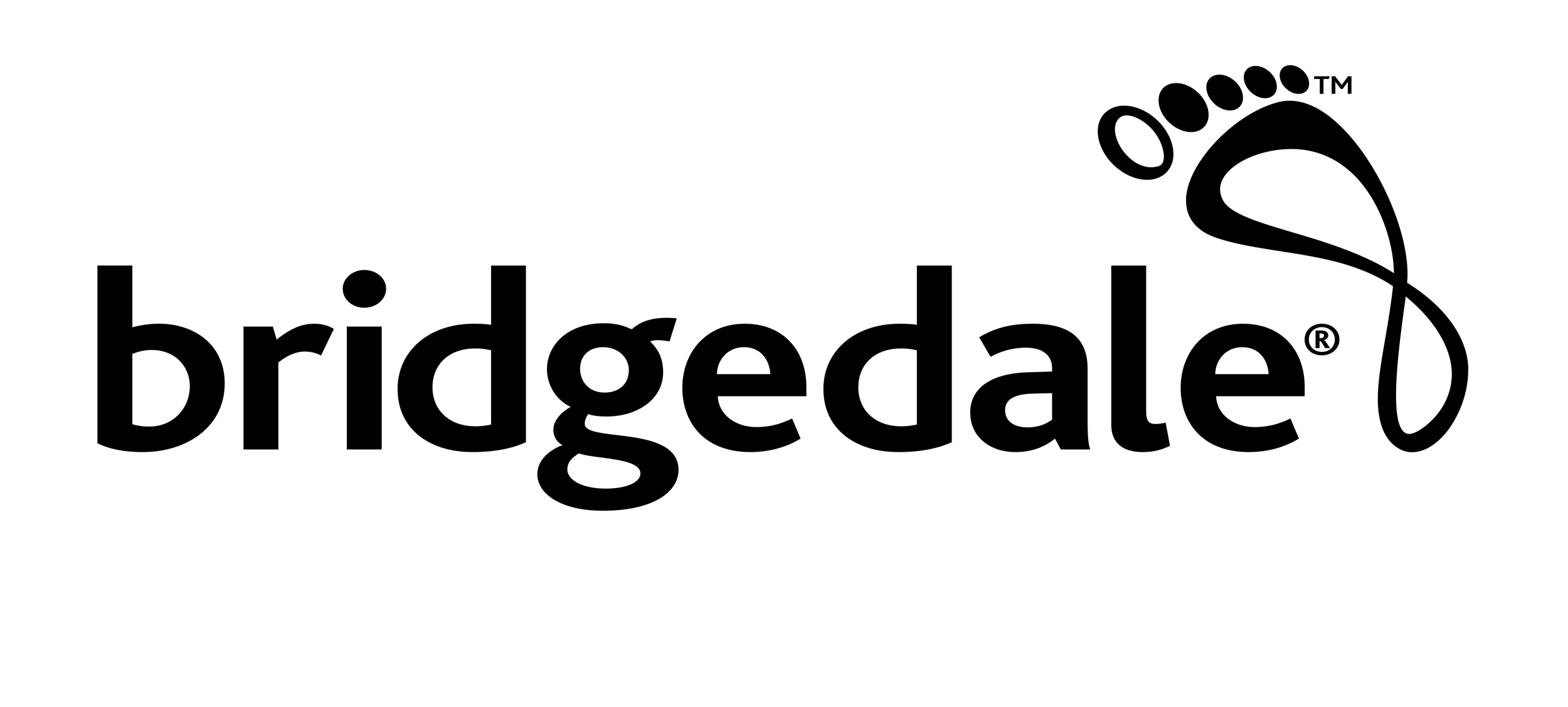 Bridgedale%20Logo%20High%20Res.jpg