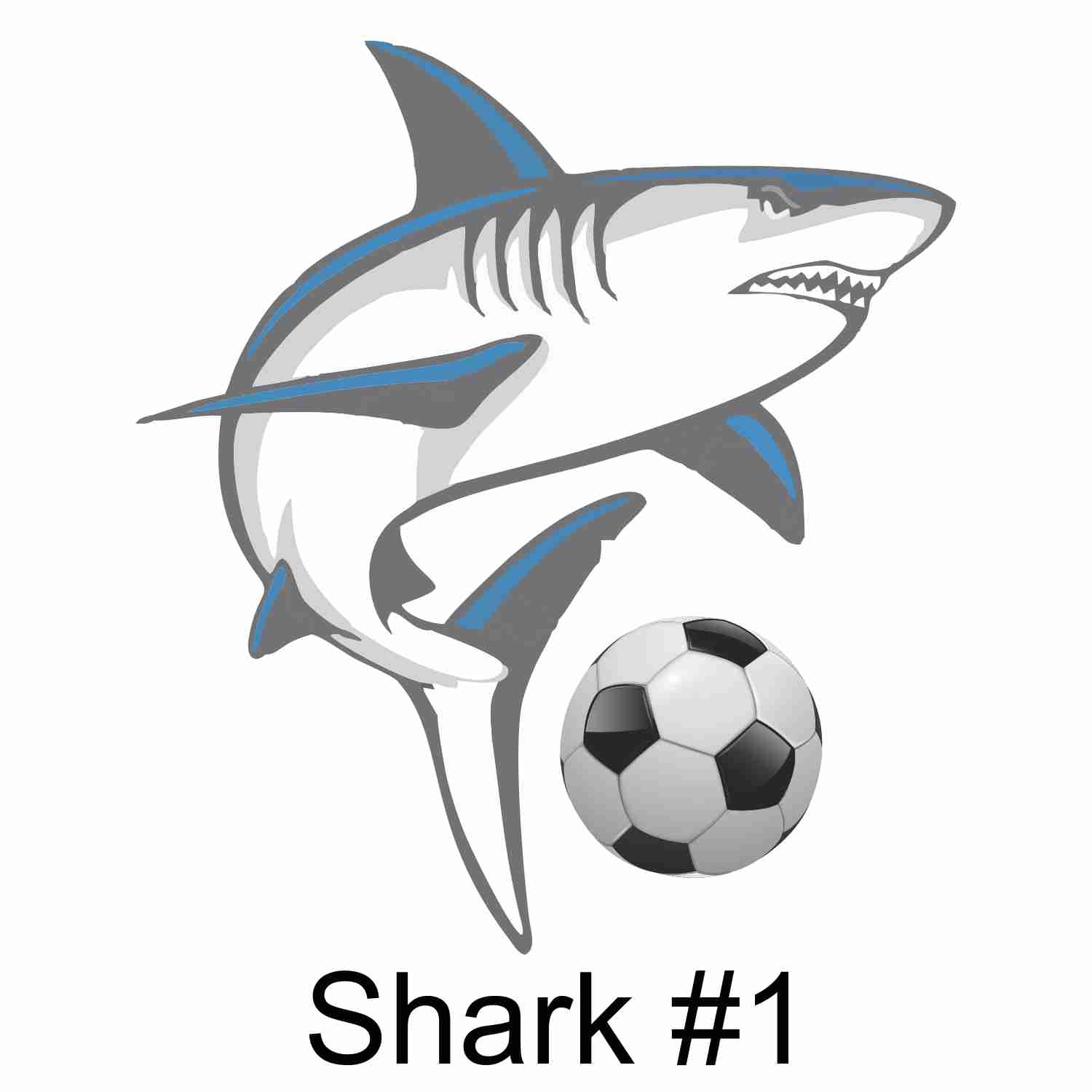 Shark #1.jpg
