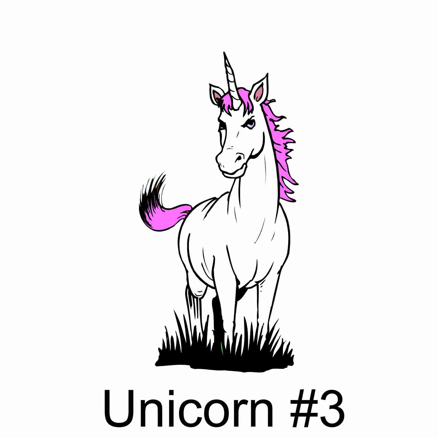 Unicorn #3.jpg