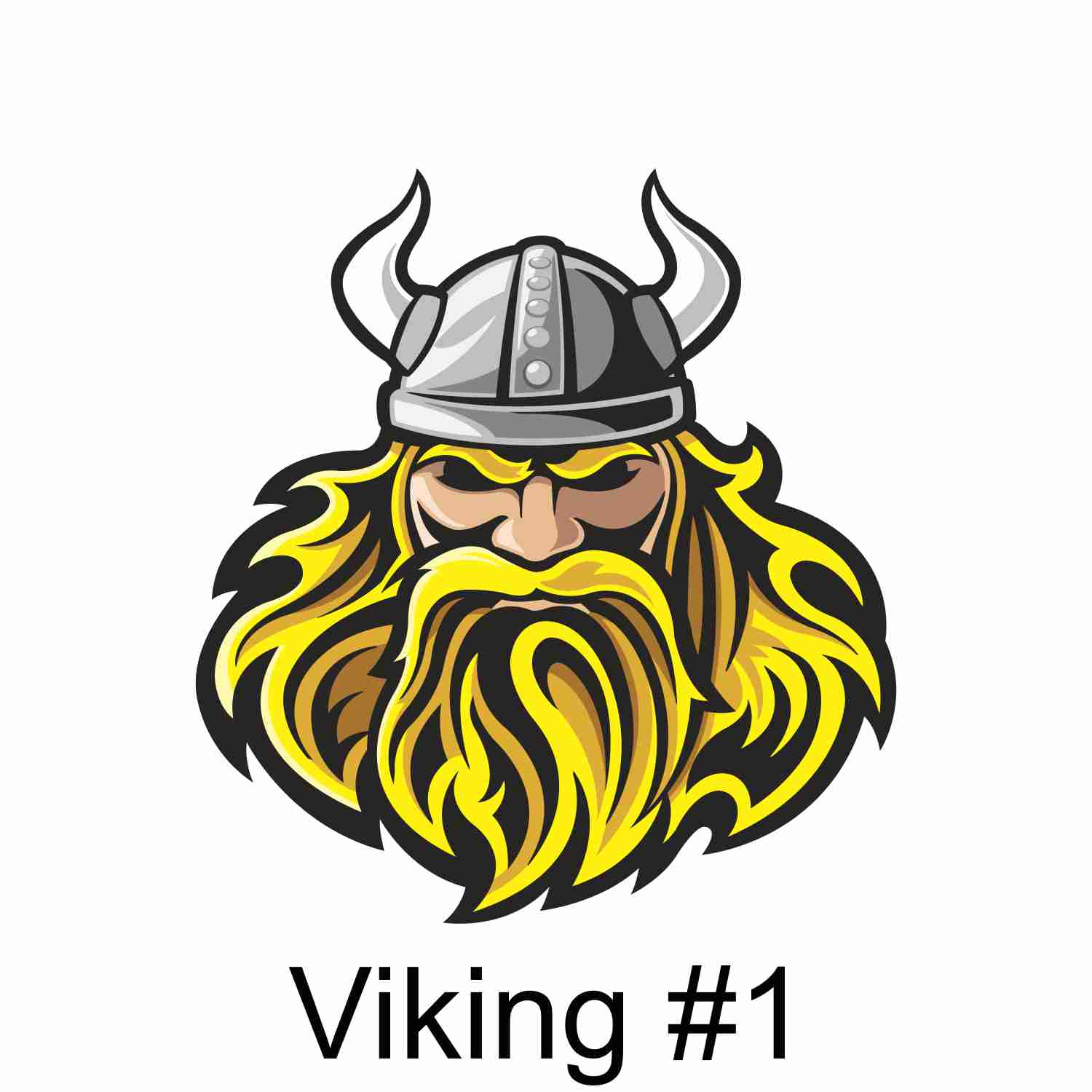 Viking #1.jpg