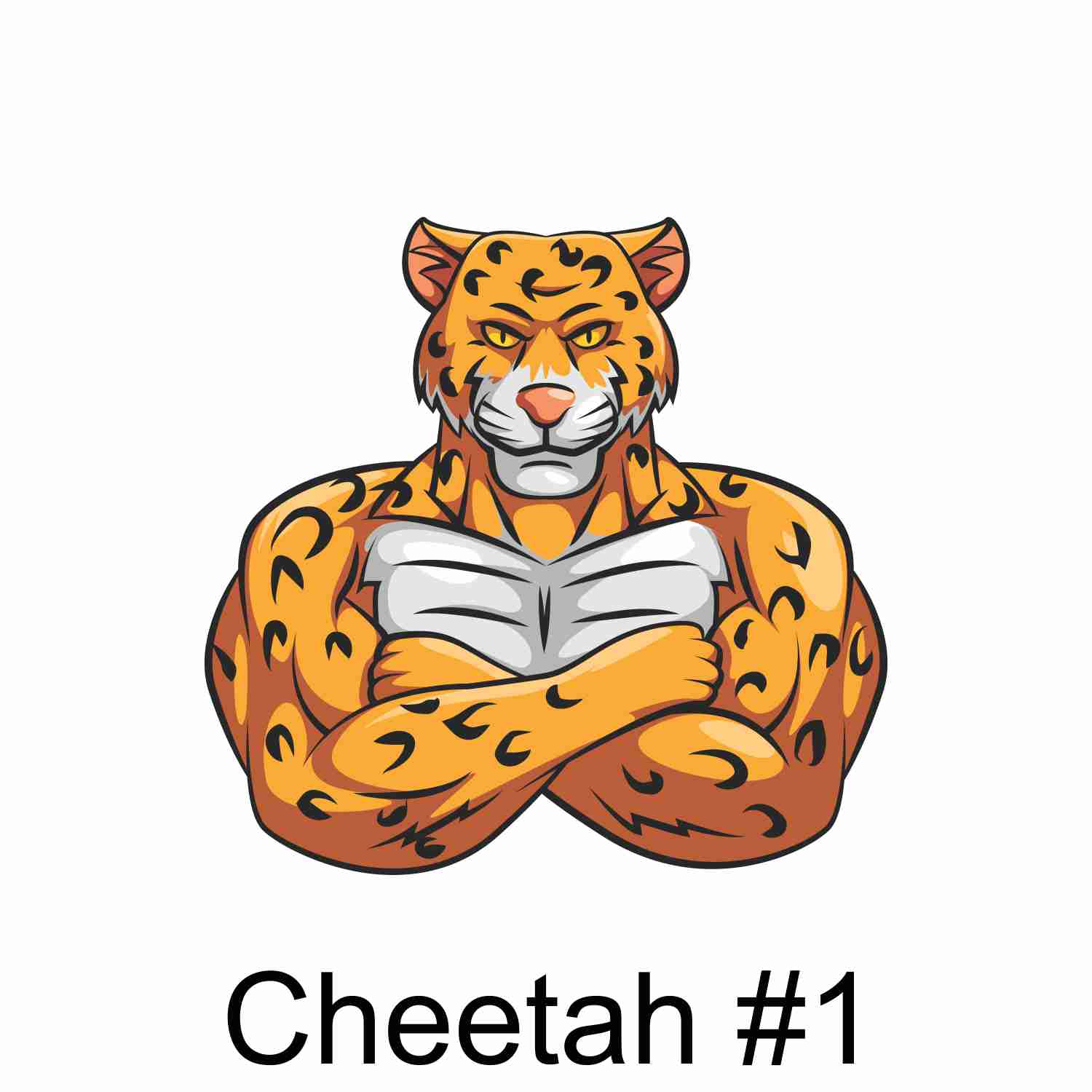 Cheetah #1.jpg