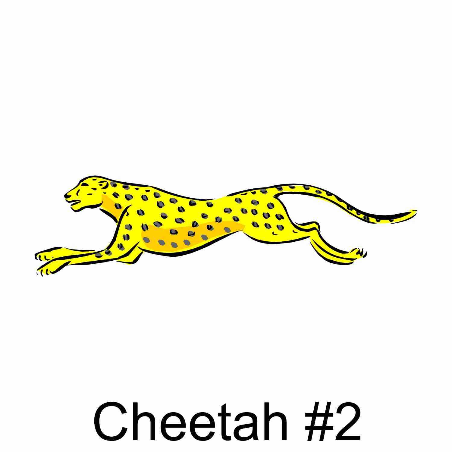 Cheetah #2.jpg