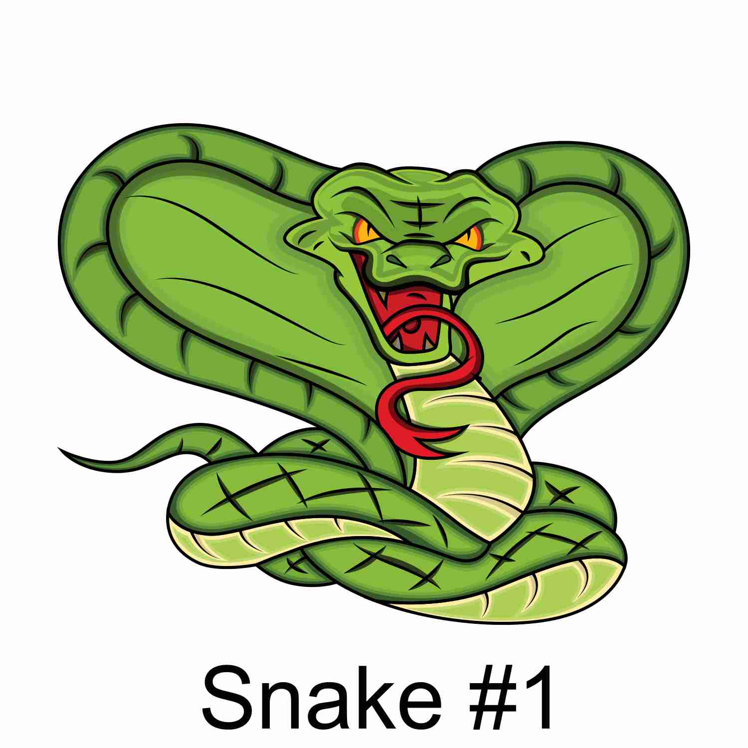 Snake #1.jpg