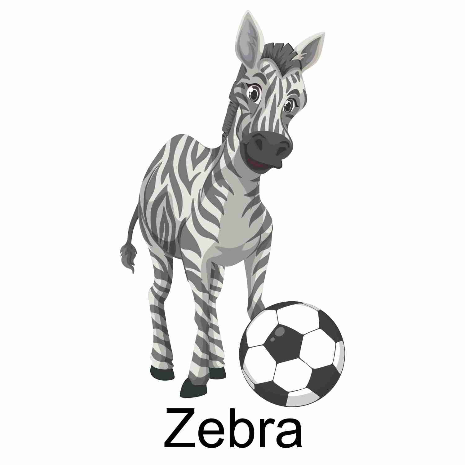 Zebra.jpg