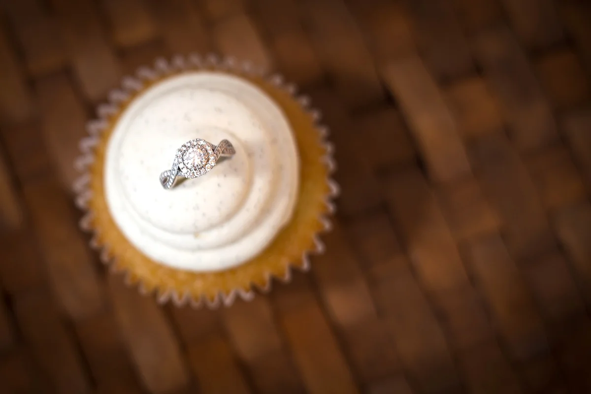 Paige & Ian | Picnic Engagement Session