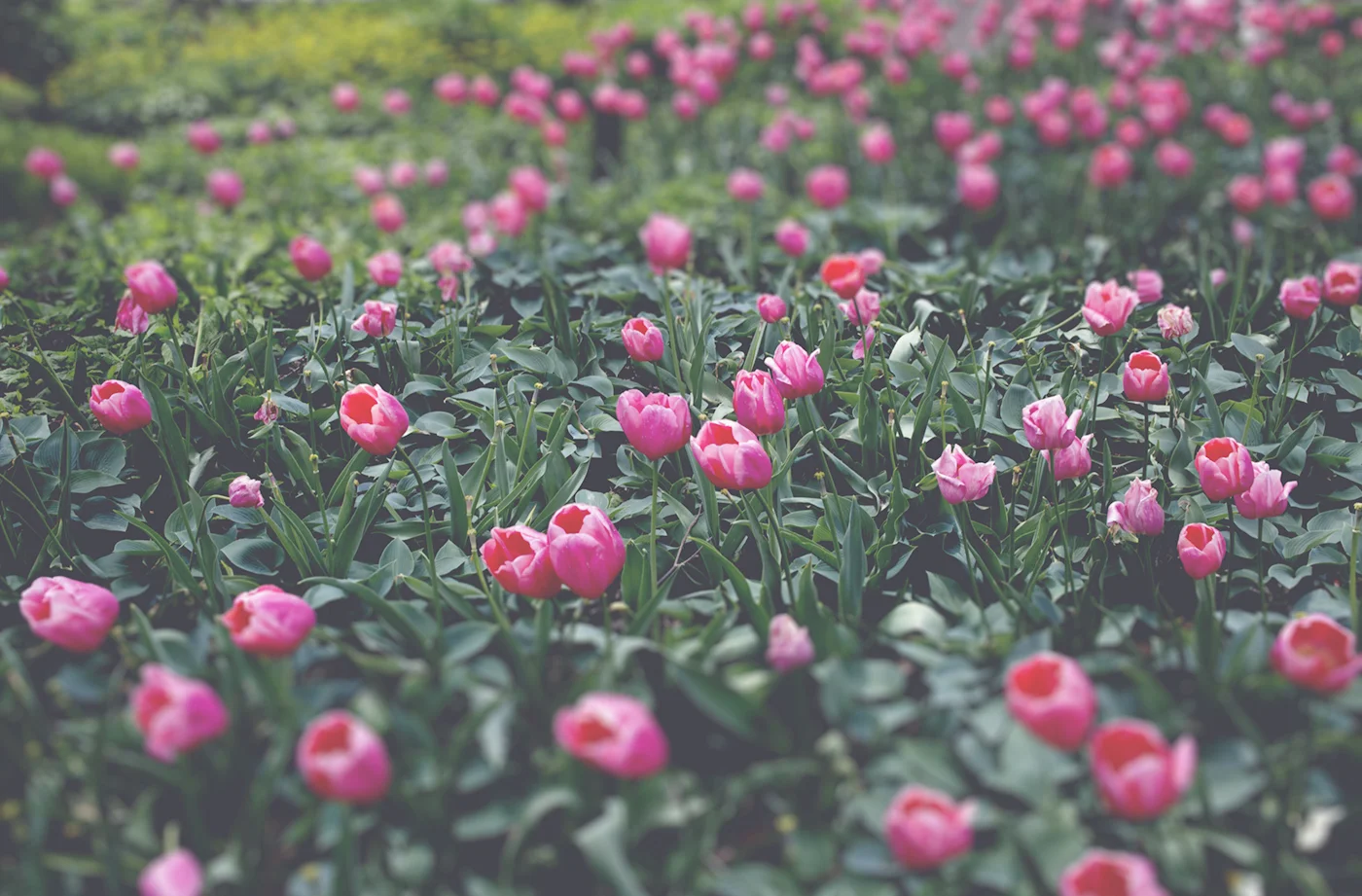 This Is What It's All About 