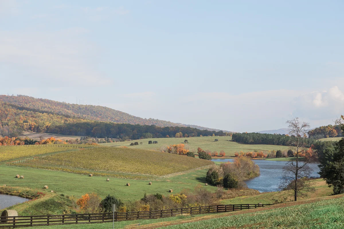trump-winery-virginia-wedding-3.jpg