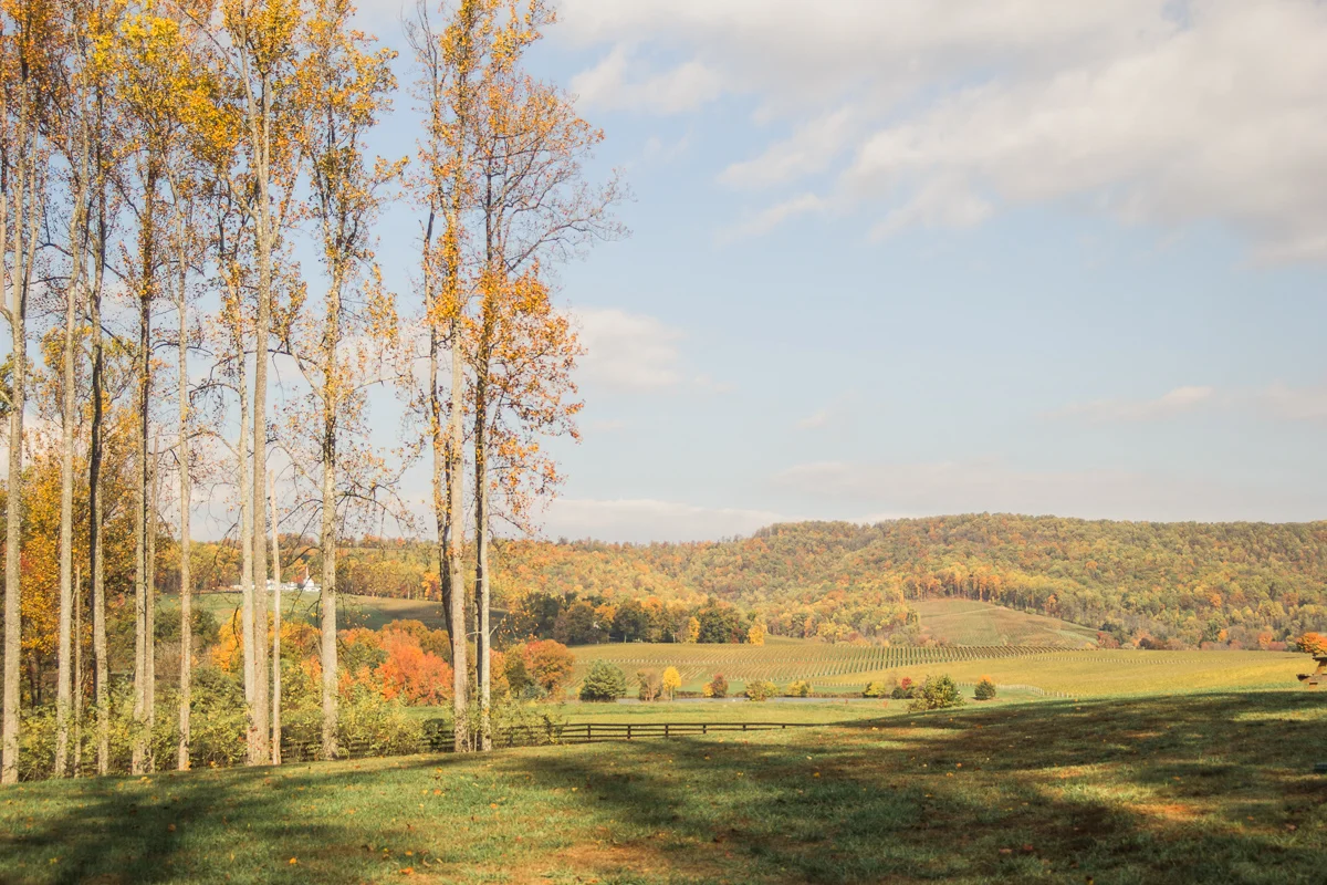 trump-winery-virginia-wedding-4.jpg