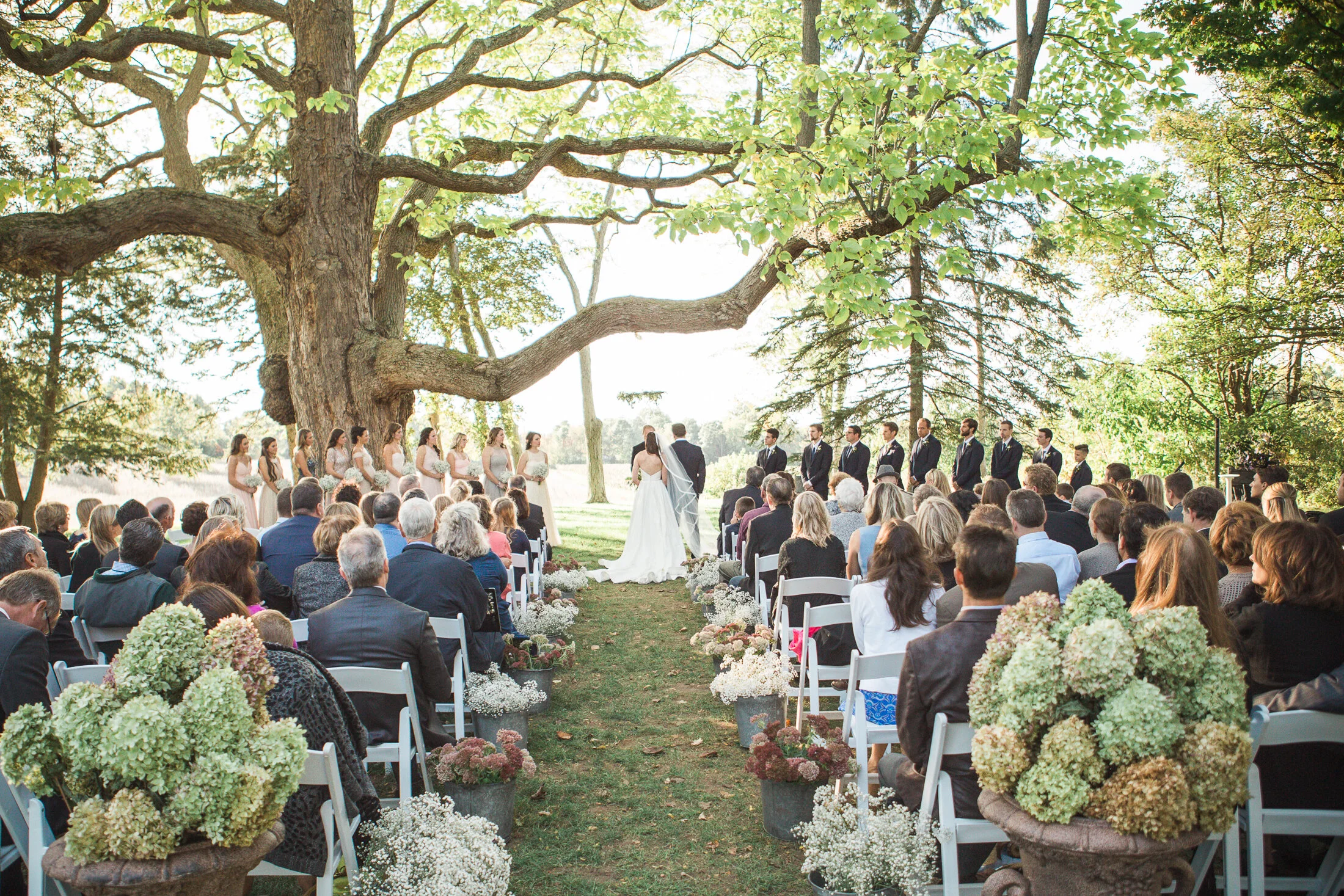 hidden-vineyard-wedding-photos-2.jpg
