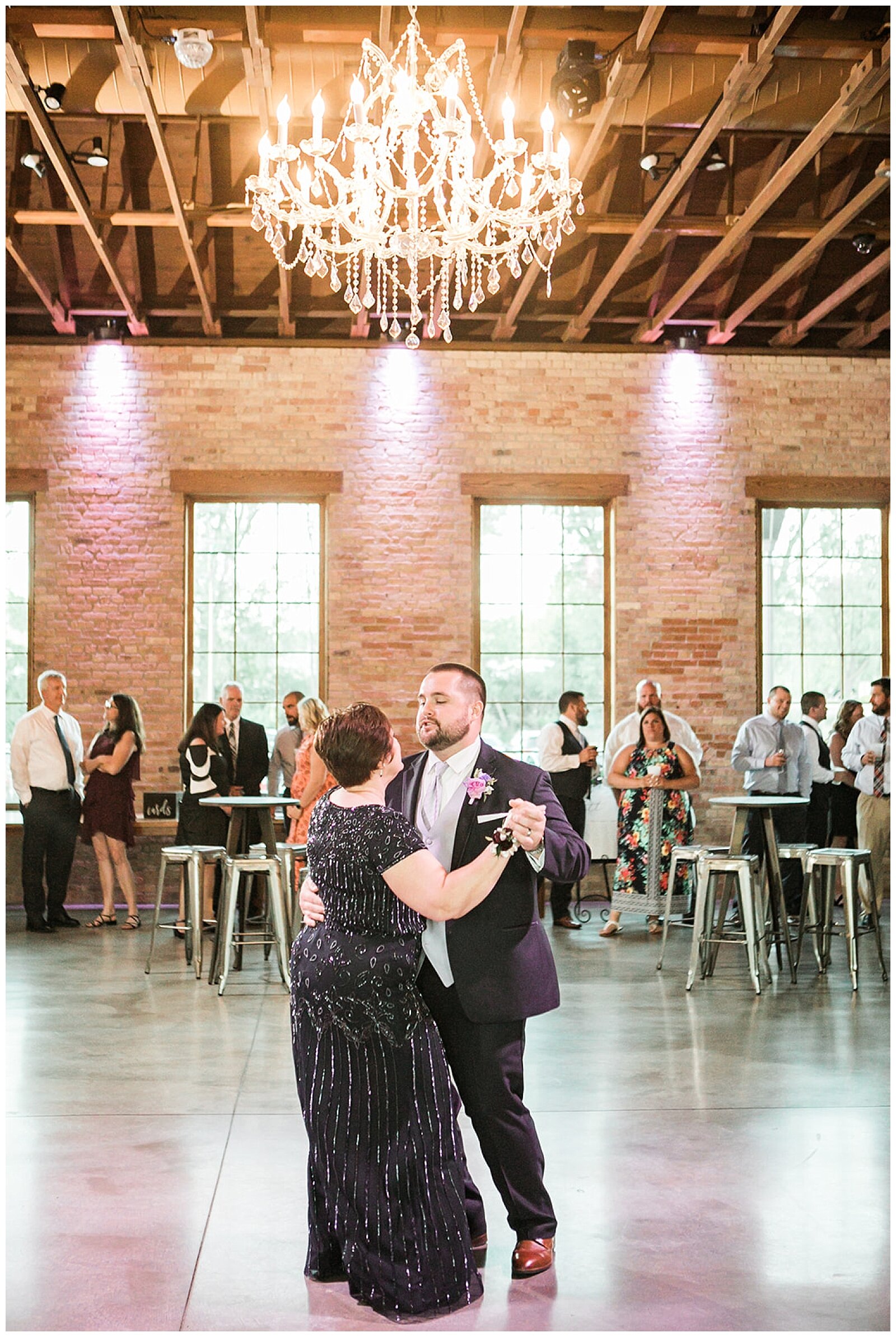 Brix-on-the-fox-wedding-chicago-wedding-photographer-ashley-susan-photography-_0122.jpg