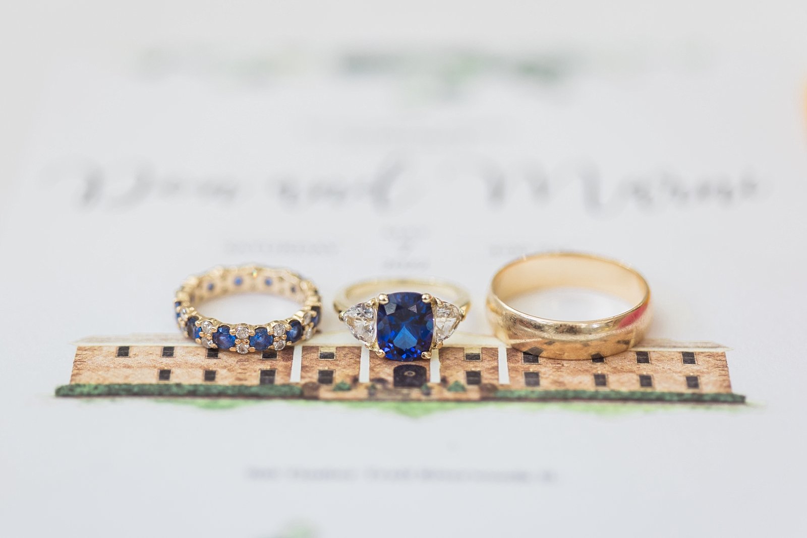 Illinois Wedding Photographer-Ashley-Susan-Photography-Marni-and-Don-Wedding-_0010.jpg