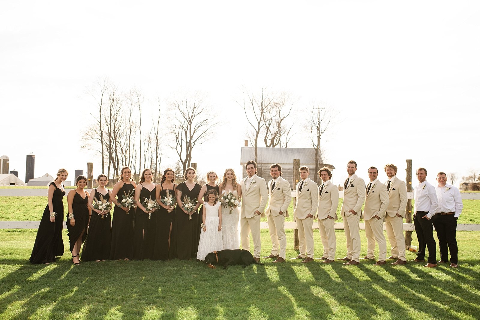 Illinois Wedding Photographer-Ashley-Susan-Photography-Alexis-and-Mitch-Wedding-_0041.jpg