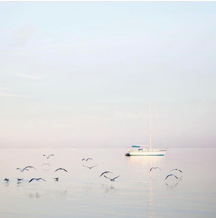 So long Florida 💗 Today we are headed back to Illinois- bummed to leave the 80 degree weather but relieved to finally come back home after a long trip. I am looking forward to the cozy winter vibes, decorating for Christmas, and sippin&rsquo; hot co