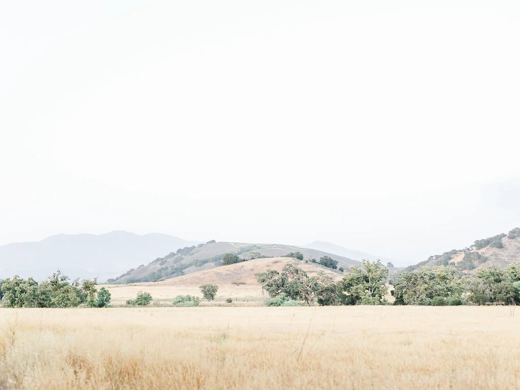 alegria-by-design-wedding-planner-planning-event-design-santa-barbara-day-of-coordinator-kestrel-park-santa-ynez-fields-castle-lavender-garden-mrs-box (2).jpg