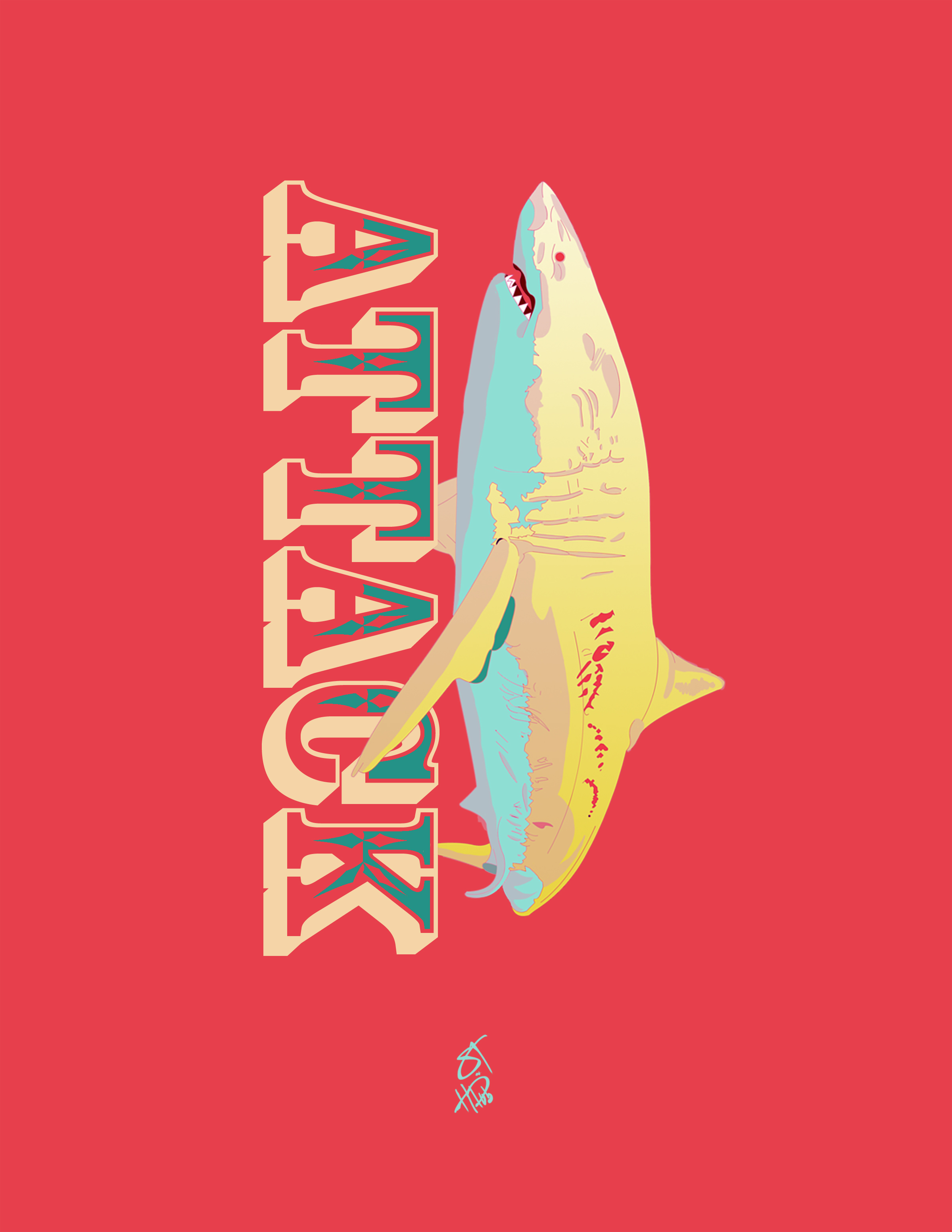 shark_3.jpg