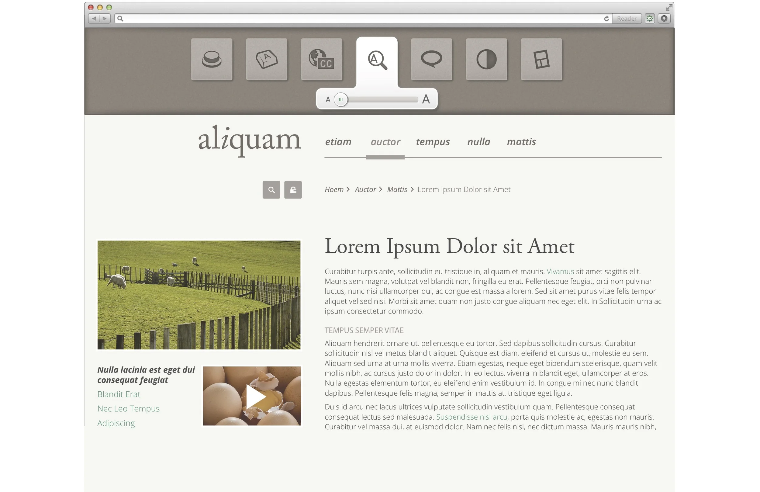 Sinmpified UI Options drop down menu 