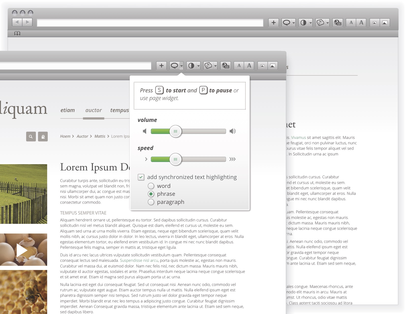  Browser extention idea 