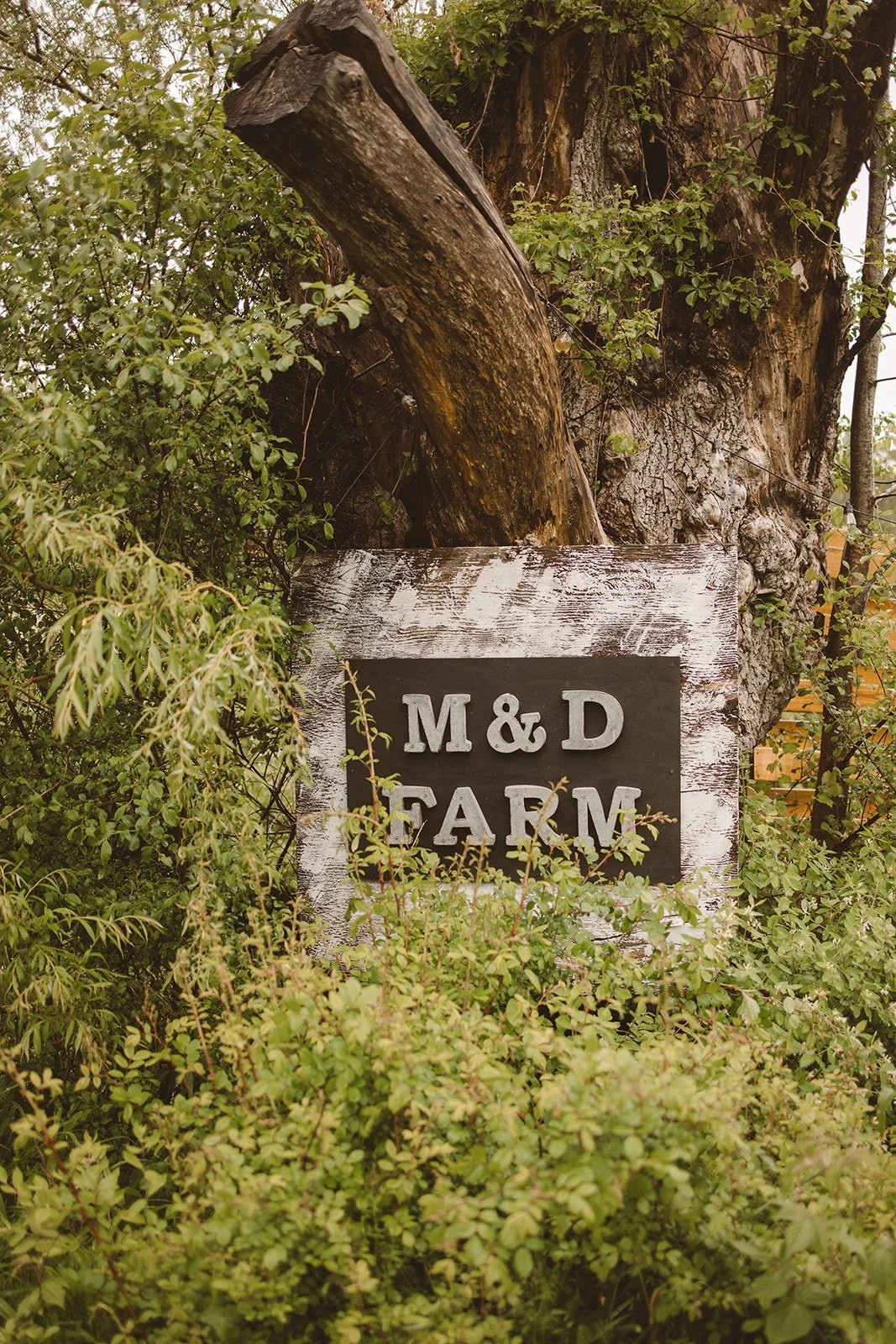 md-farm-rainy-garden-wedding-upstate-ny-07.jpg