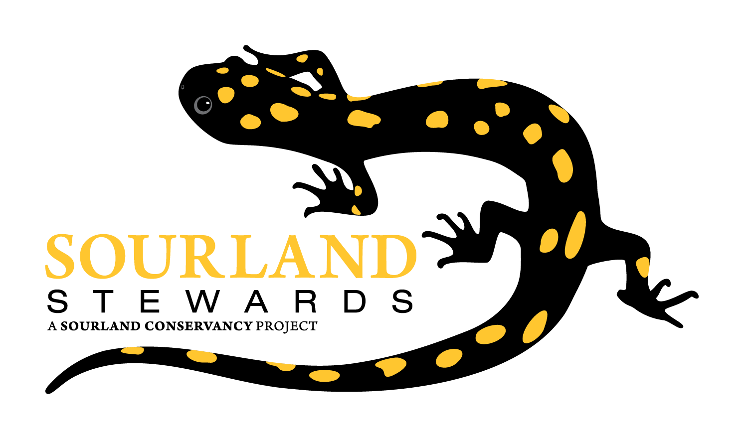 sc008_stewards_logo_full_color_rgb_1500px@300ppi.png