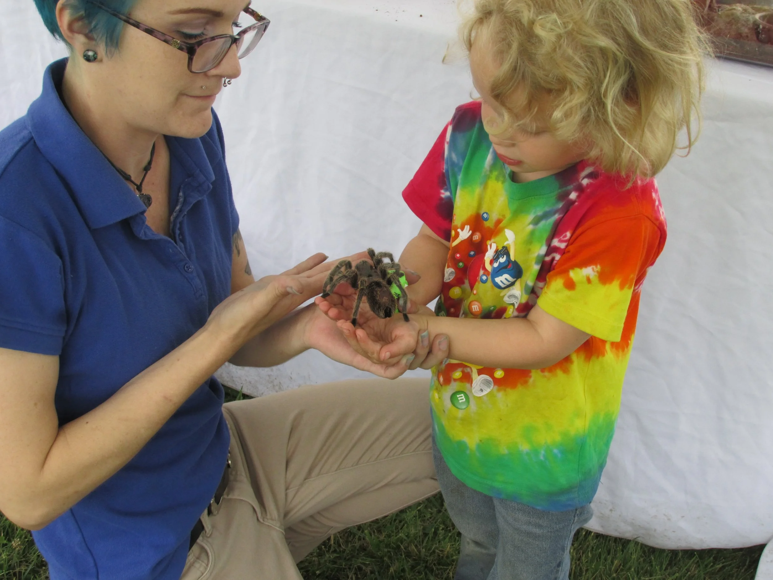 Child w Spider.JPG