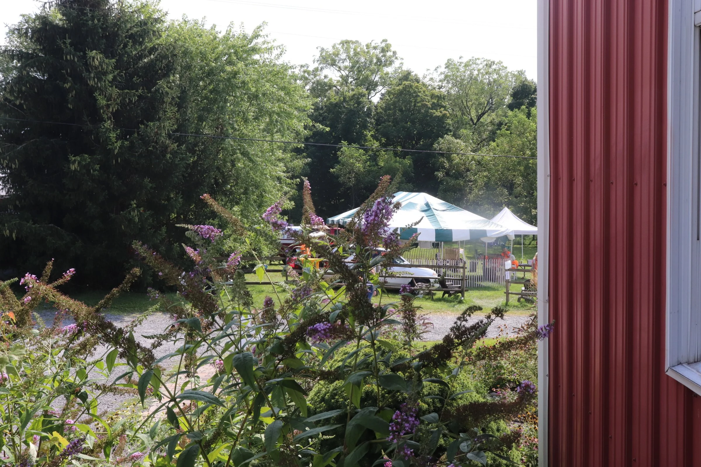 IMG_6883.JPG