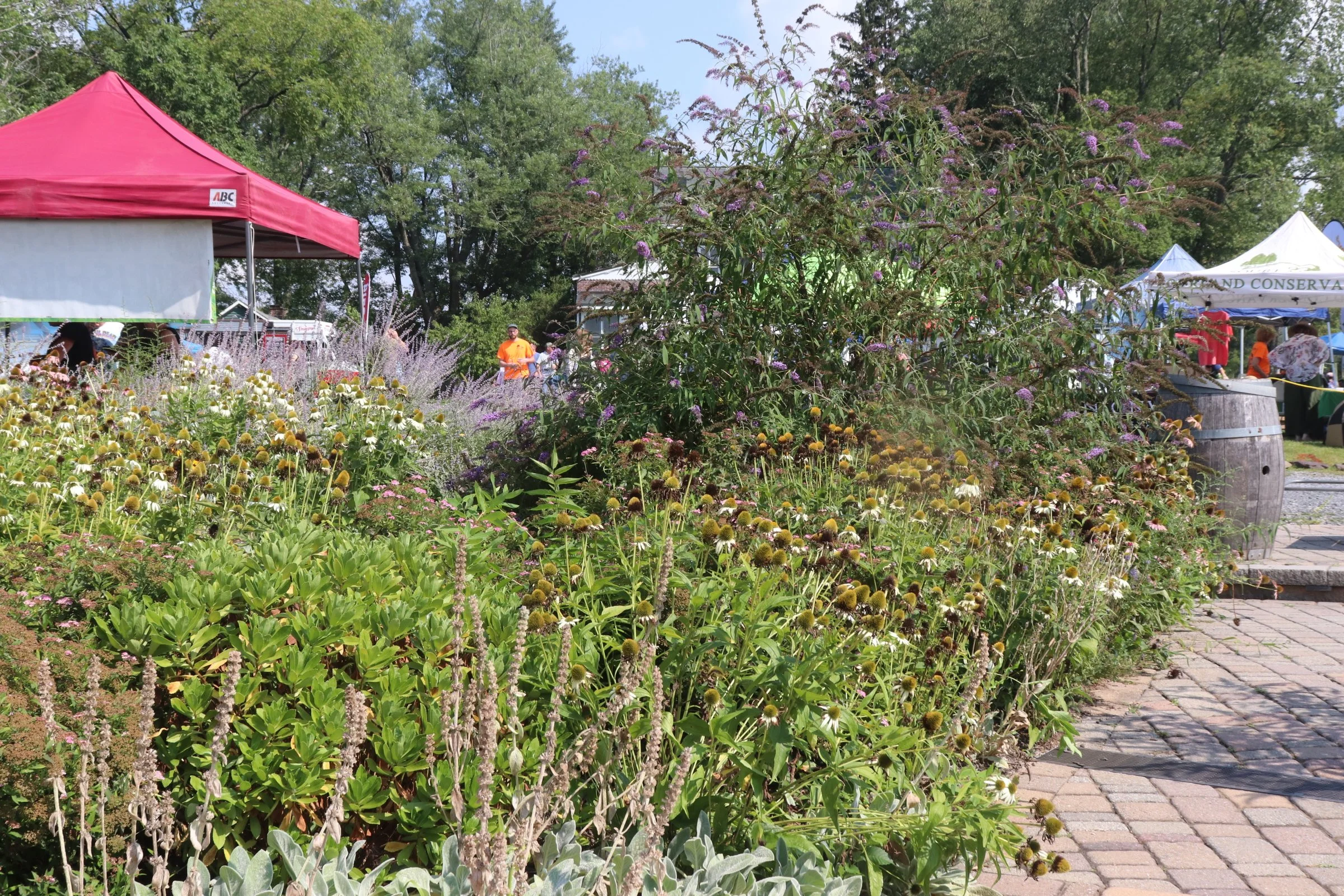 IMG_6893.JPG