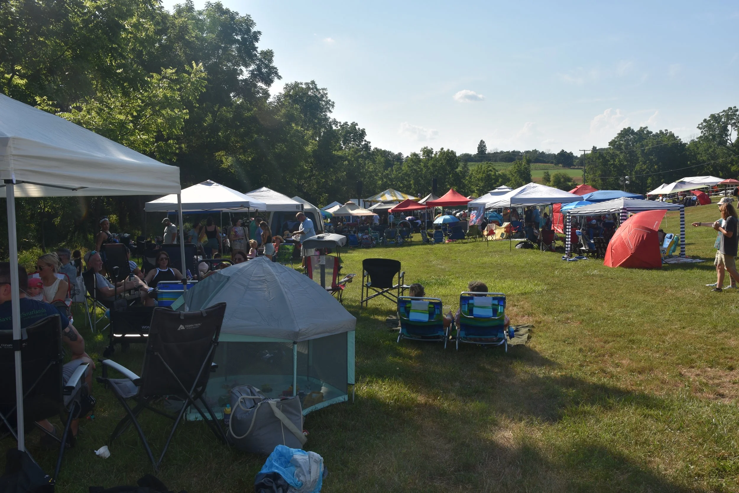 DSC_0504.JPG