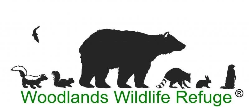 wwrLogo2010HighRes2.jpg