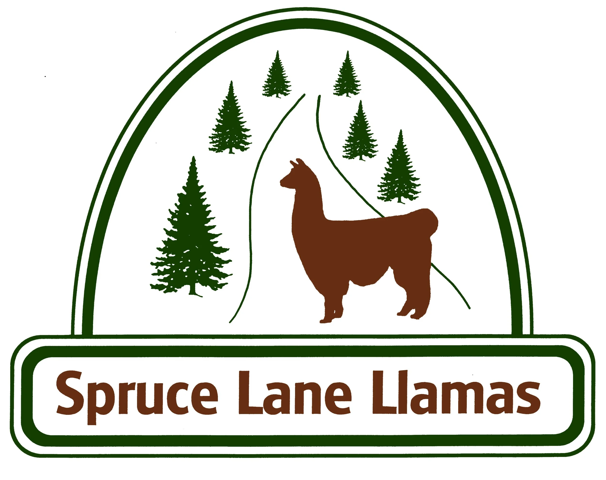 SPRUCE_LANE_LLAMAS.jpg
