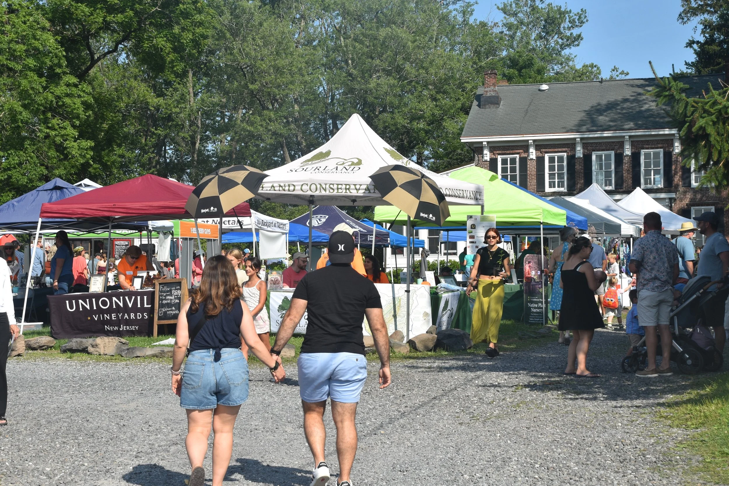 DSC_6503.JPG