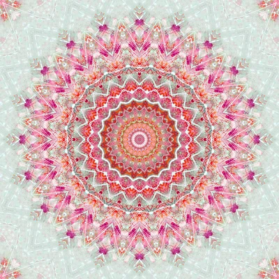 Level 4: Planning for Success™