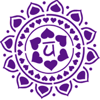 Earth Chakra Tours Launch Celebration