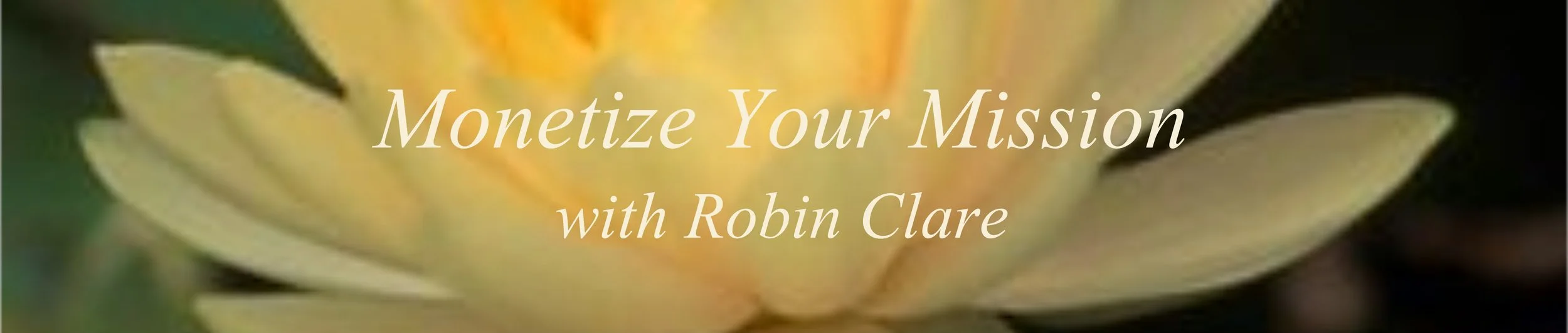 Monetize Your Mission banner.jpg