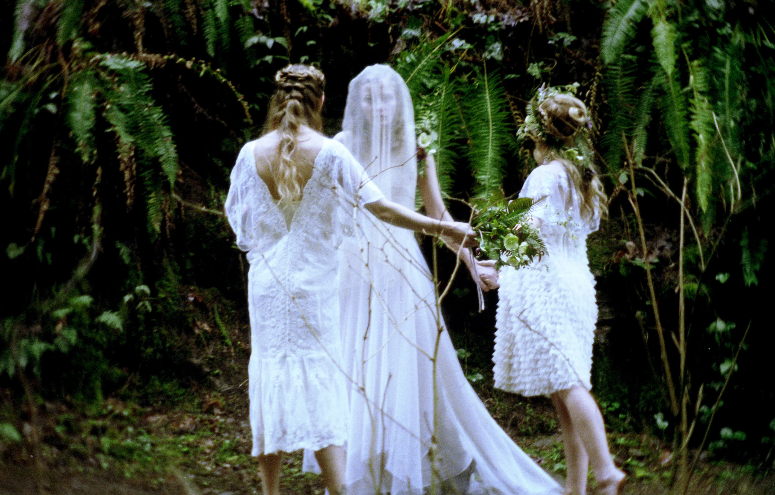 img450.jpg