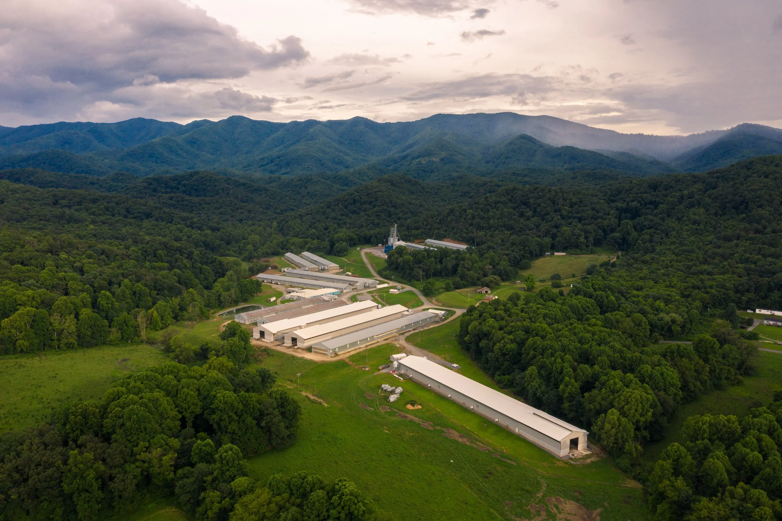 Andrews Valley Poultry Farm — Dutt & Wagner