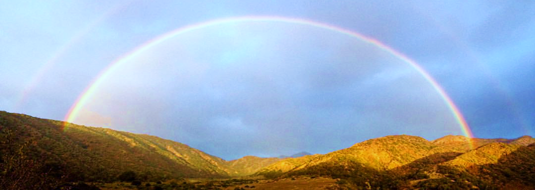 Santa Cruz Island, 2015. Photo credit: Danielle Aube
