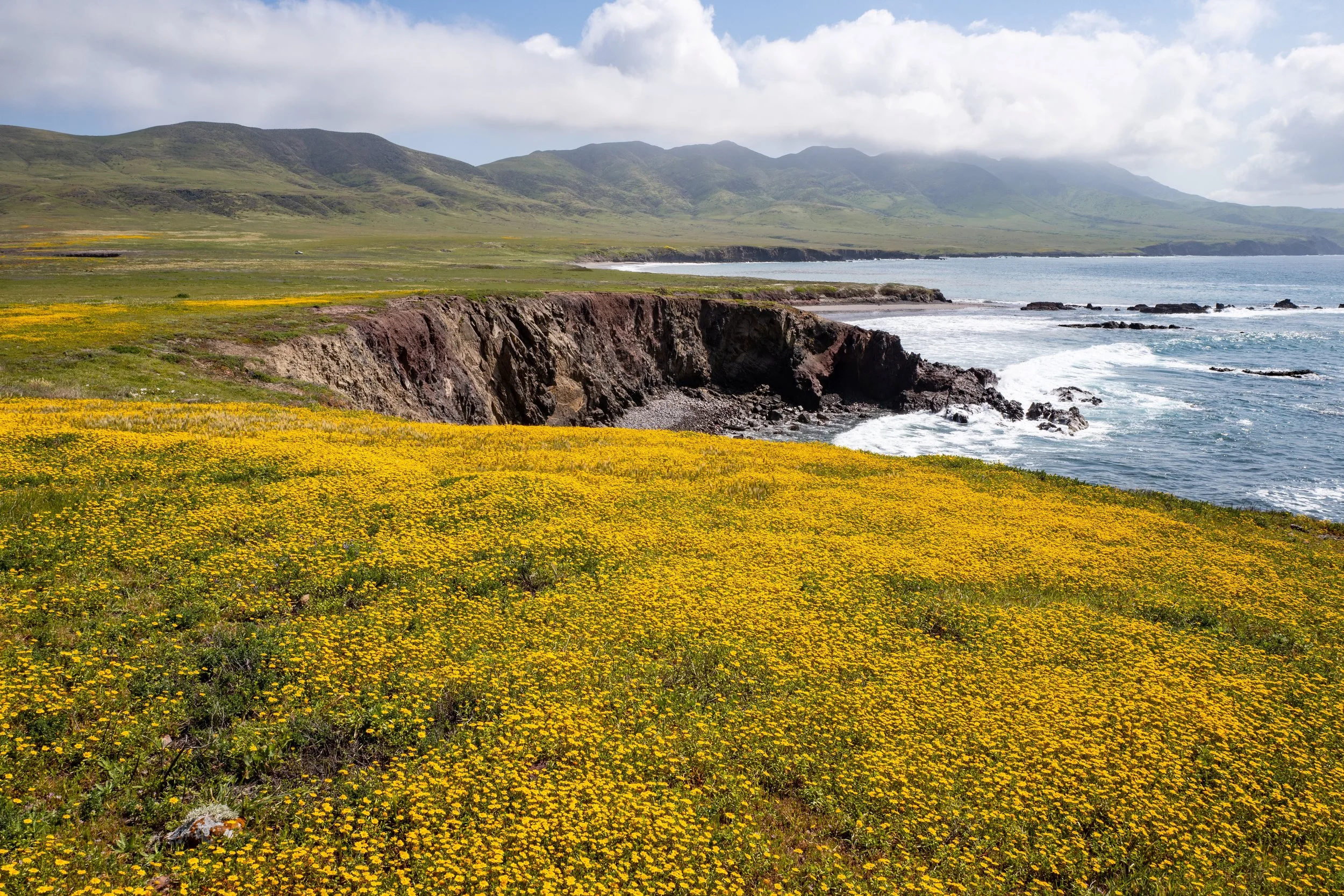 SCI_Sue Pollock 2019 (10)_resize.jpg