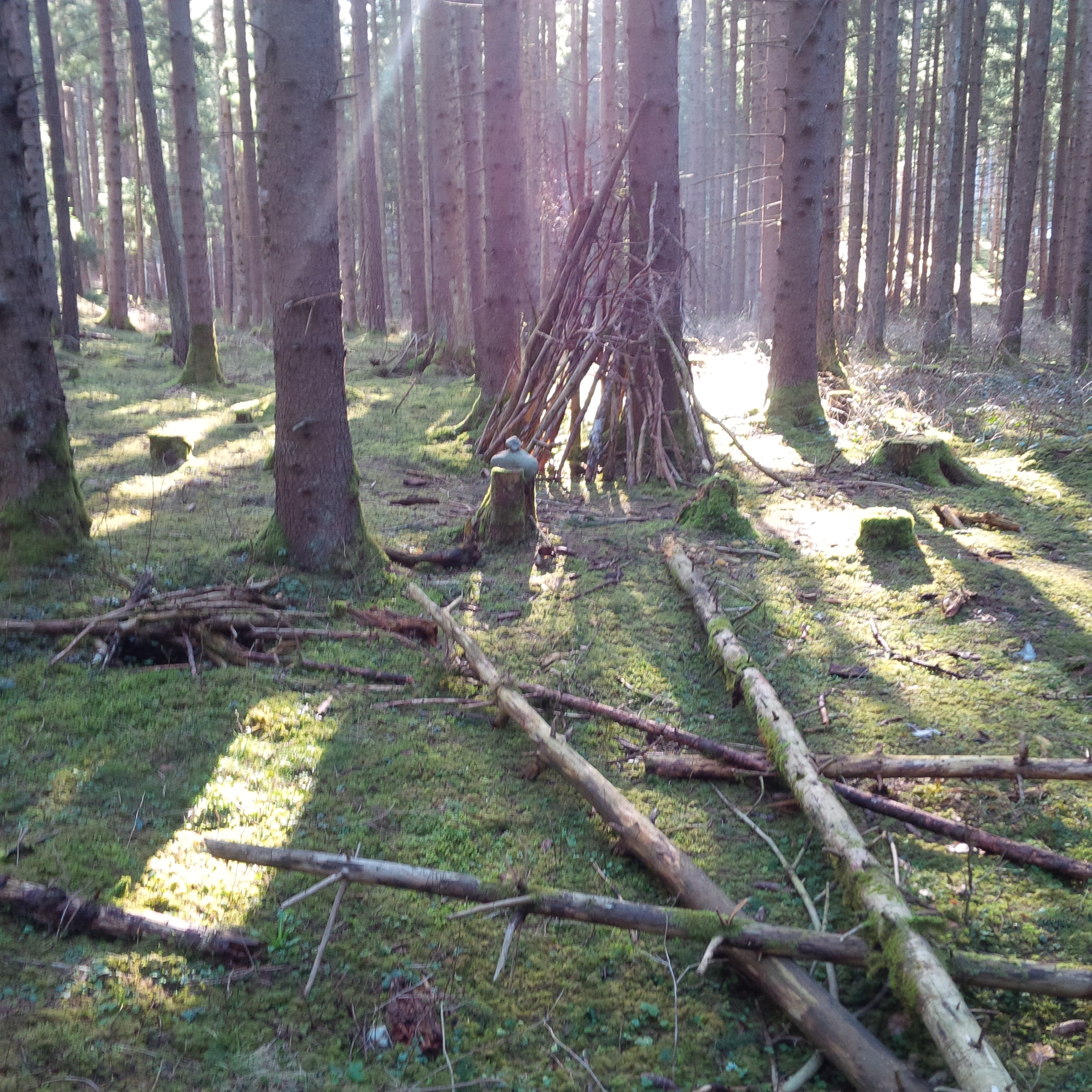 A picture from Katey's recent trip to the Alps – she visits the Tyrolean forests with her shaman. 