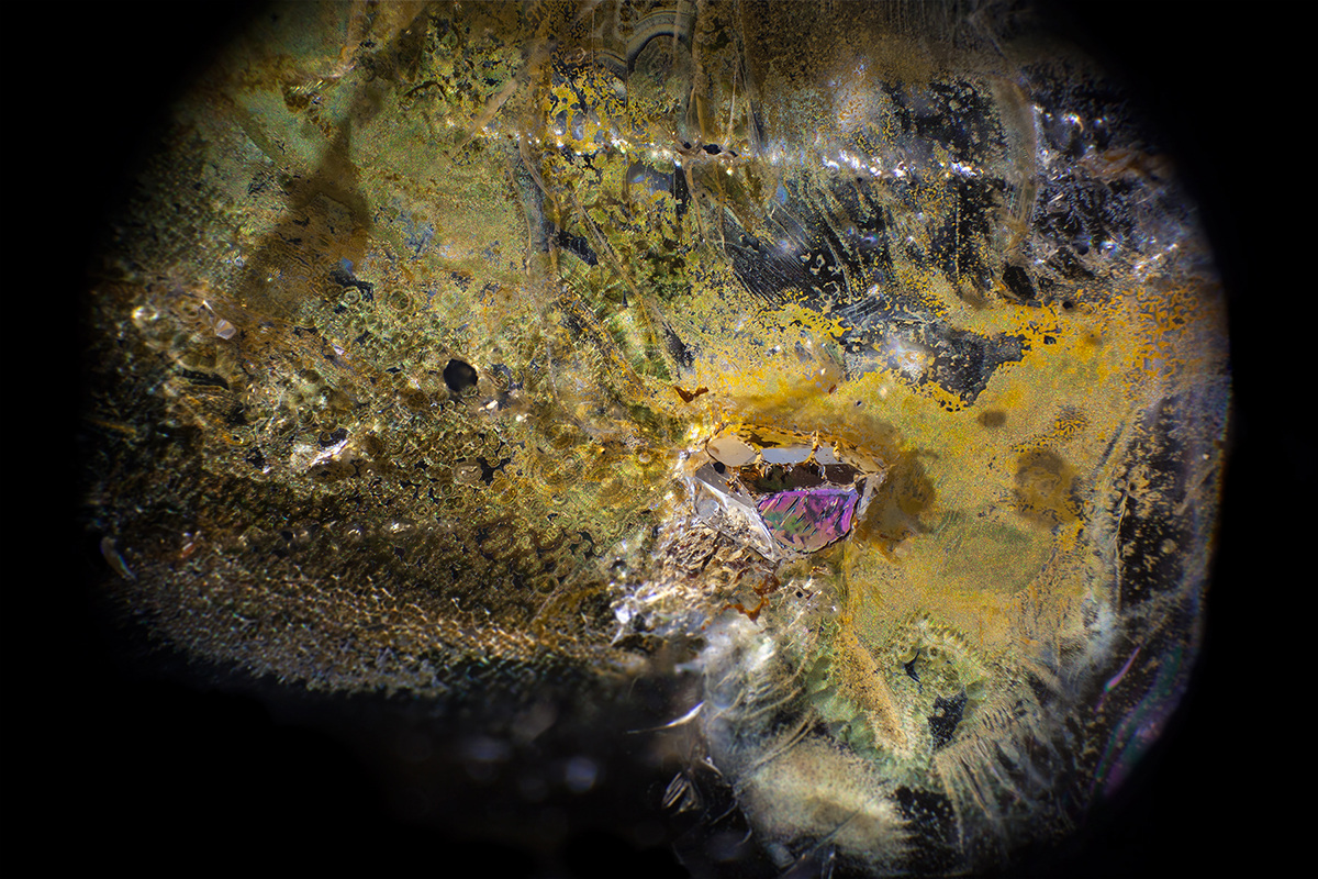  Limonite staining in quartz by @mineralien Brazil Field of view = 8.4mm • Depth of field = 3.1mm    