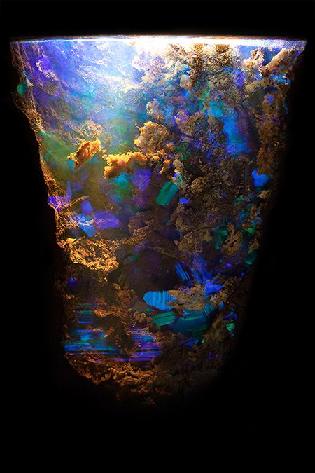  Opal in ironstone by @mineralien Queensland, Australia Field of View = 9.00mm • Depth of Field = 4.0mm    