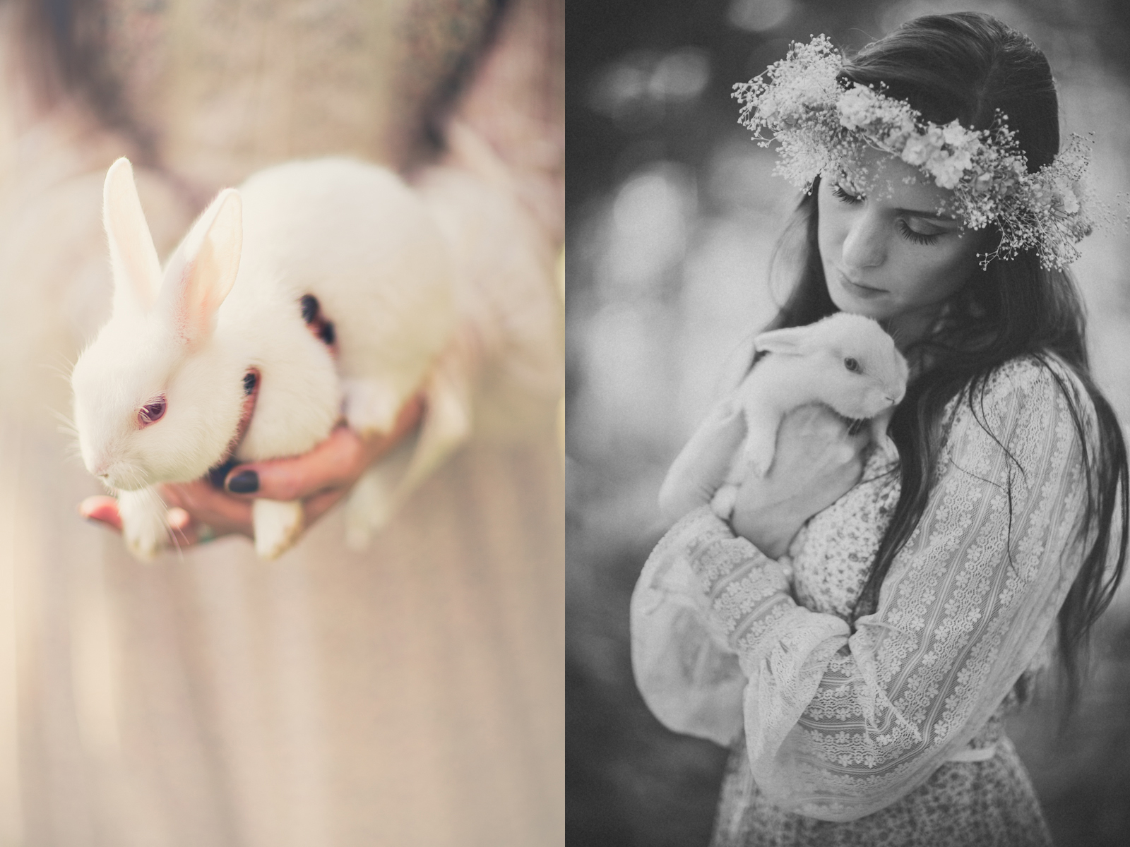 FB2C4514-Edit.jpg