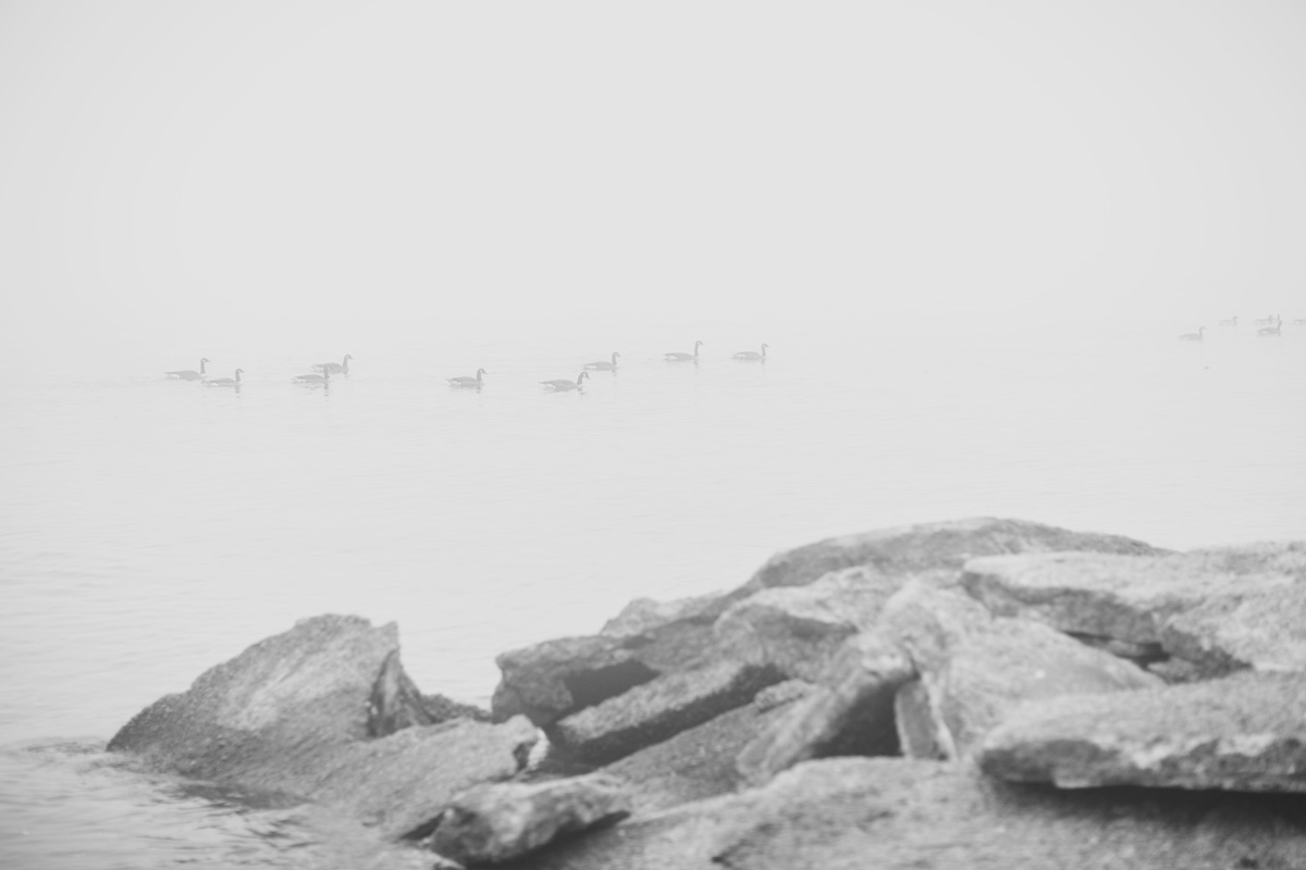 FB2C7517-Edit.jpg